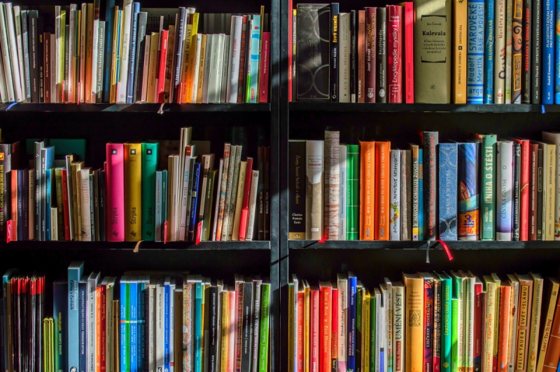 magasin-LE CANNET-min_books_bookstore_book_reading_shop_writer_sale_books_read-822866
